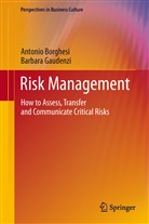Borghesi Antonio, Antoni Borghesi, Antonio Borghesi, Barbara Gaudenzi - Risk Management
