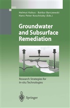 Baldu Barczewski, Baldur Barczewski, Helmut Kobus, Hans-Peter Koschitzky - Groundwater and Subsurface Remediation