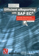Andreas Pfeifer, Andreas Schuler, Andreas H Schuler, Andreas H. Schuler, Stephe Fedtke, Stephen Fedtke - Efficient eReporting with SAP EC®