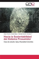 César André Alzate Hoyos, César Andrés Alzate Hoyos, Germán André Cardona T, Germán Andrés Cardona T - Hacia la Sustentabilidad del Sistema Prosumidor