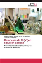 Carlo Barrera Diaz, Carlos Barrera Diaz, Eduard Campos Medina, Eduardo Campos Medina, Ureña, Fernando Ureña Nuñez - Remoción de Cr(VI)en solución acuosa