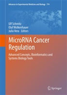 Ulf Schmitz, Julio Vera, Ola Wolkenhauer, Olaf Wolkenhauer - MicroRNA Cancer Regulation