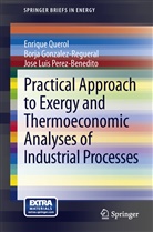 Borj Gonzalez-Regueral, Borja Gonzalez-Regueral, Perez-Ben, Jose Luis Perez-Benedito, Enriqu Querol, Enrique Querol - Practical Approach to Exergy and Thermoeconomic Analyses of Industrial Processes