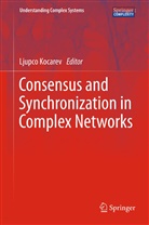 Ljupc Kocarev, Ljupco Kocarev - Consensus and Synchronization in Complex Networks