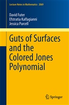 Davi Futer, David Futer, Efstrati Kalfagianni, Efstratia Kalfagianni, Jessi Purcell, Jessica Purcell - Guts of Surfaces and the Colored Jones Polynomial