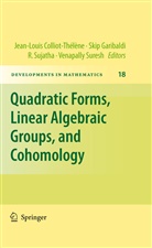 Skip Garibaldi, Sujatha, R Sujatha, R. Sujatha, Venapally Suresh - Quadratic Forms, Linear Algebraic Groups, and Cohomology