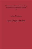 J Schumann, J. Schumann - Input-Output-Analyse