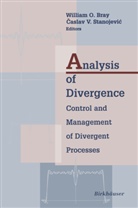 Willia Bray, William Bray, Stanojevic, Stanojevic, Caslav Stanojevic - Analysis of Divergence