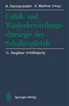 Meissner, Meissner, Achim Meißner, Rahi Rahmanzadeh, Rahim Rahmanzadeh - Unfall- und Wiederherstellungschirurgie des Schultergürtels