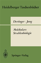 Herman Dertinger, Hermann Dertinger, Horst Jung - Molekulare Strahlenbiologie