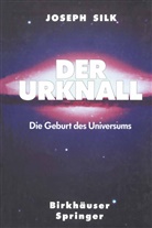 Joe Silk - Der Urknall