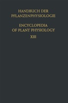 Schumacher, W Schumacher, W. Schumacher - Der Stofftransport in der Pflanze / Translocation in Plants