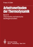 Franz X Eder, Franz X. Eder - Arbeitsmethoden der Thermodynamik