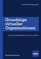 Ulric Krystek, Ulrich Krystek, Wolfgan Redel, Wolfgang Redel, Sebas Reppegather, Sebastian Reppegather - Grundzüge virtueller Organisationen