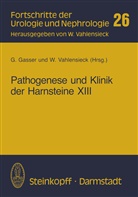 Gasser, G Gasser, G. Gasser, Vahlensieck, Vahlensieck, W. Vahlensieck - Pathogenese und Klinik der Harnsteine XIII