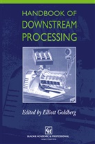E Goldberg, E. Goldberg - Handbook of Downstream Processing