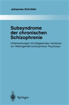 Johannes Schröder - Subsyndrome der chronischen Schizophrenie