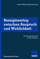 Andrea Offinger, Andreas Offinger, Manfred Perlitz, Michael Reinhardt, Michael Reinhardt u a, Klaus Schug - Reengineering Zwischen Anspruch und Wirklichkeit