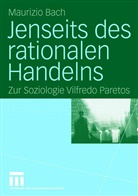 Maurizio Bach - Jenseits des rationalen Handelns