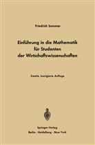 Friedrich Sommer - Einführung in die Mathematik für Studenten der Wirtschaftswissenschaften