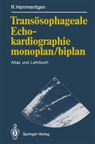 Ralf Hammentgen - Transösophageale Echokardiographie monoplan/biplan