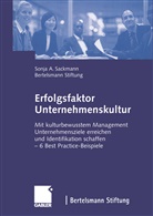 Sonja Sackmann, Sonja A Sackmann, Sonja A. Sackmann, Bertelsmann Stiftung, Bertelsmann Stiftung, Bertelsman Stiftung... - Erfolgsfaktor Unternehmenskultur