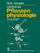 Moh, Han Mohr, Hans Mohr, Schopfer, Peter Schopfer - Lehrbuch der Pflanzenphysiologie