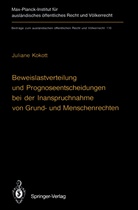 Juliane Kokott - Beweislastverteilung und Prognoseentscheidungen bei der Inanspruchnahme von Grund- und Menschenrechten
