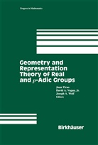 Juan Tirao, Davi Vogan, David Vogan, Joe Wolf - Geometry and Representation Theory of Real and p-adic groups