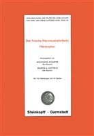Martin G Gottwik, Martin G. Gottwik, Wolfgan Schaper, Wolfgang Schaper, Martin G. Gottwik, Wolfgang Schaper - Thema: Der frische Herzmuskelinfarkt Herzruptur