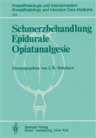 B Brückner, J B Brückner, J. B. Brückner - Schmerzbehandlung Epidurale Opiatanalgesie