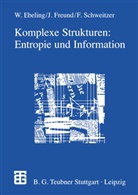 Werner Ebeling, Ja Freund, Jan Freund, Fran Schweitzer, Frank Schweitzer - Komplexe Strukturen: Entropie und Information