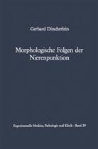 G Ditscherlein, G. Ditscherlein - Morphologische Folgen der Nierenpunktion