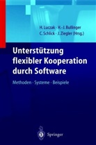 H. -J. Bullinger, H.-J. Bullinger, -J Bullinger, H -J Bullinger, H. Luczak, C. Schlick... - Unterstützung flexibler Kooperation durch Software