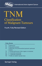 H Sobin, H Sobin, Hermanek, P Hermanek, P. Hermanek, Paul Hermanek... - TNM Classification of Malignant Tumours