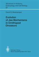David B Weishampel, David B. Weishampel - Evolution of Jaw Mechanisms in Ornithopod Dinosaurs