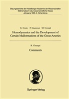 Guisepp Conte, Guiseppe Conte, Mari Cornali, Mario Cornali, Francesc Giannessi, Francesco Giannessi - Hemodynamics and the Development of Certain Malformations of the Great Arteries. Comment