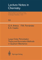 Gustavo Arteca, Gustavo A Arteca, Gustavo A. Arteca, E Castro, Eduardo A. Castro, Francisco Fernandez... - Large Order Perturbation Theory and Summation Methods in Quantum Mechanics