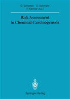 Thomas Klenner, Gotthard Schettler, Dietric Schmähl, Dietrich Schmähl - Risk Assessment in Chemical Carcinogenesis