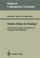 M M Ritzen, M M Ritzen, Jozef M. M. Ritzen, Jozef M.M. Ritzen, Davi Stern, David Stern - Market Failure in Training?
