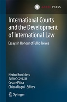 Nerina Boschiero, Cesare Pitea, Cesare Pitea et al, Chiara Ragni, Tulli Scovazzi, Tullio Scovazzi - International Courts and the Development of International Law