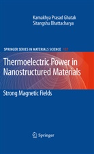 Sitangshu Bhattacharya, Kamakhya Prasa Ghatak, Kamakhya Prasad Ghatak - Thermoelectric Power in Nanostructured Materials