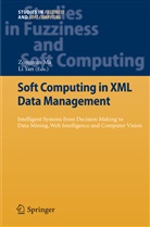 Zongmi Ma, Zongmin Ma, Yan, Yan, Li Yan - Soft Computing in XML Data Management