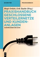 Birgi Ortlieb, Birgit Ortlieb, Erik Staebe, Staebe (Dr.), Staebe (Dr.) - Praxishandbuch Geschlossene Verteilernetze und Kundenanlagen