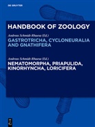 Andrea Schmidt-Rhaesa, Andreas Schmidt-Rhaesa - Handbuch der Zoologie - Volume 1: Nematomorpha, Priapulida, Kinorhyncha, Loricifera