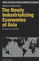 Manfre Kulessa, Manfred Kulessa - The Newly Industrializing Economies of Asia