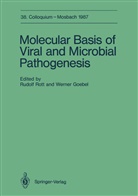 Goebel, Goebel, Werner Goebel, Rudol Rott, Rudolf Rott - Molecular Basis of Viral and Microbial Pathogenesis