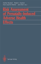 Rober J Kavlock, Robert J Kavlock, Robert J. Kavlock, Jane Klein, Hans-Joachim Merker, Hans-Joachim Merker et al... - Risk Assessment of Prenatally-Induced Adverse Health Effects