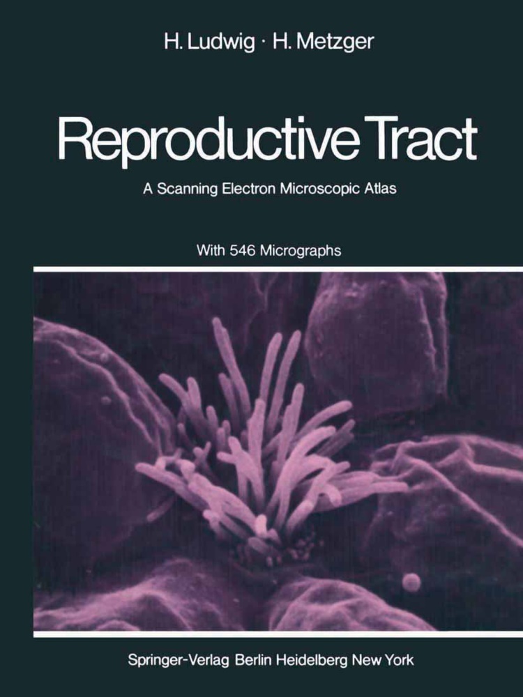 Ludwig, H Ludwig, H. Ludwig, H Metzger, H. Metzger - The Human Female Reproductive Tract A Scanning Electron Microscopic Atlas