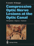 Wolfgang Seeger, Renat Unsöld, Renate Unsöld - Compressive Optic Nerve Lesions at the Optic Canal
